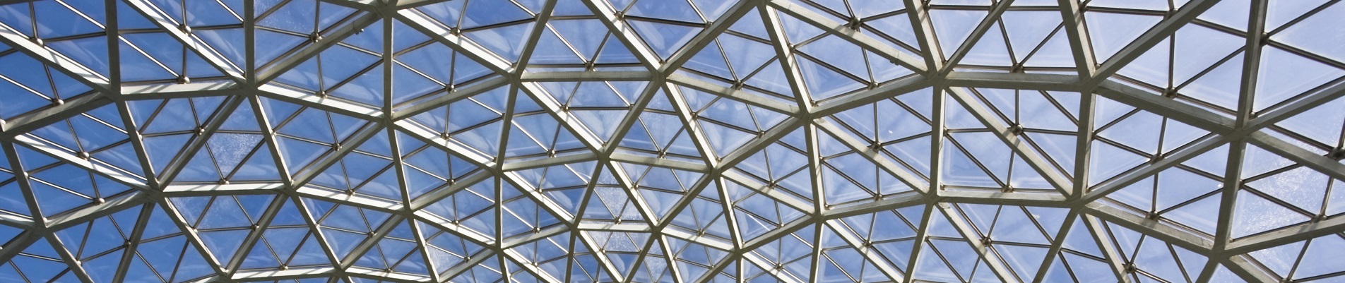 Looking up at the Domes.